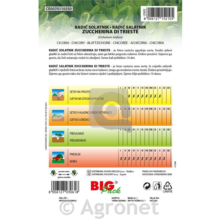 Radič Tržaški solatnik 20g