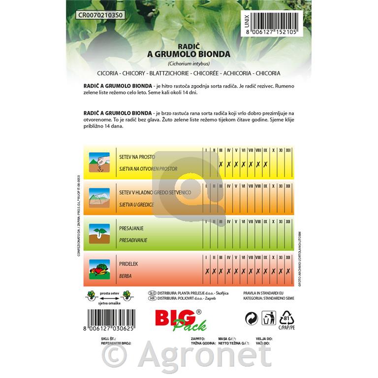 Radič A Grumolo Bionda 20g