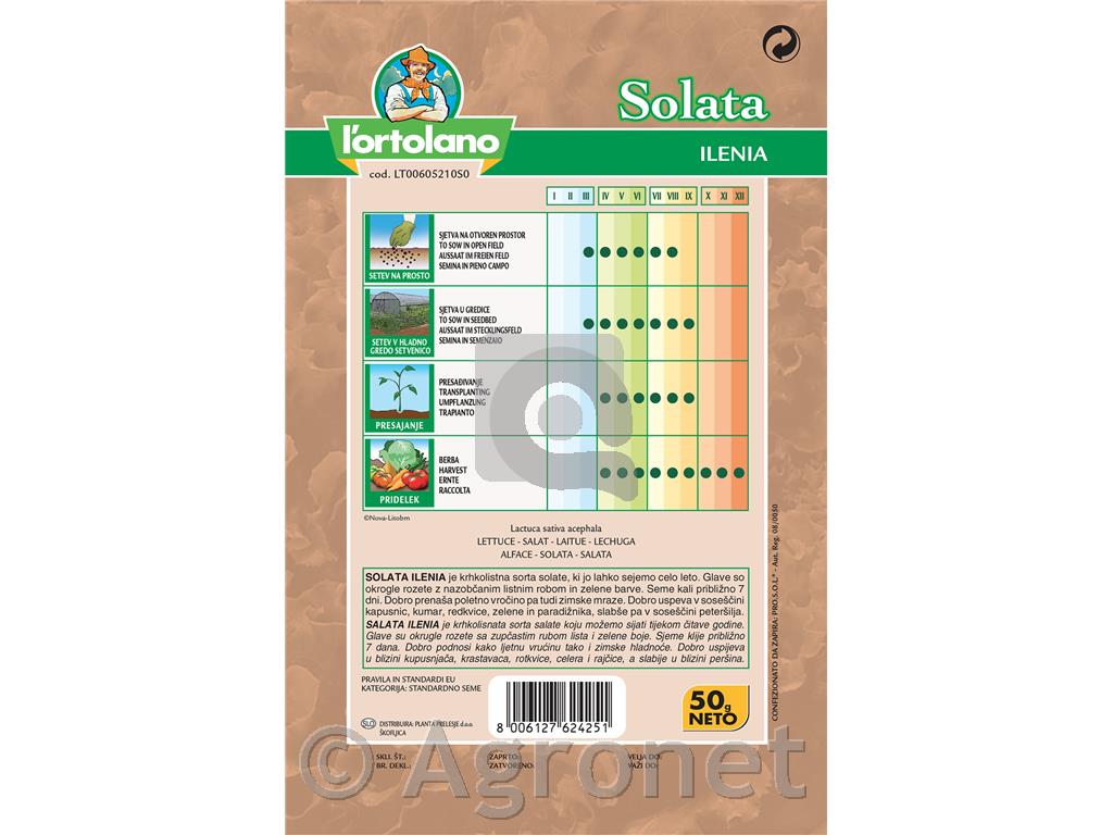 Solata Ilenia 50g