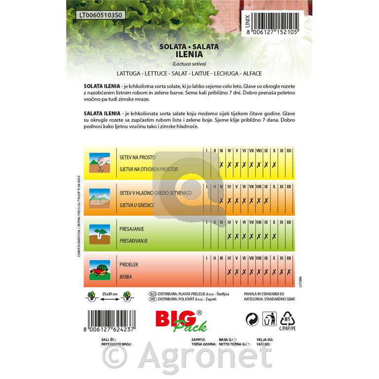 Solata Ilenia 20g