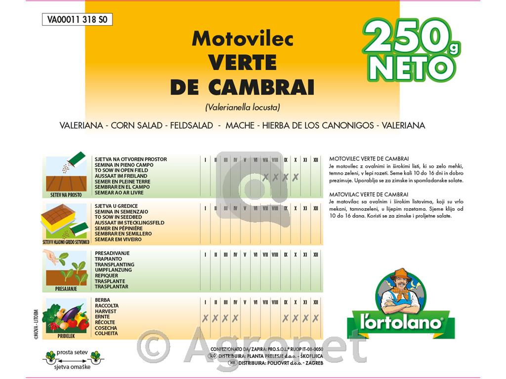 Motovilec Verte de Cambrai 250g