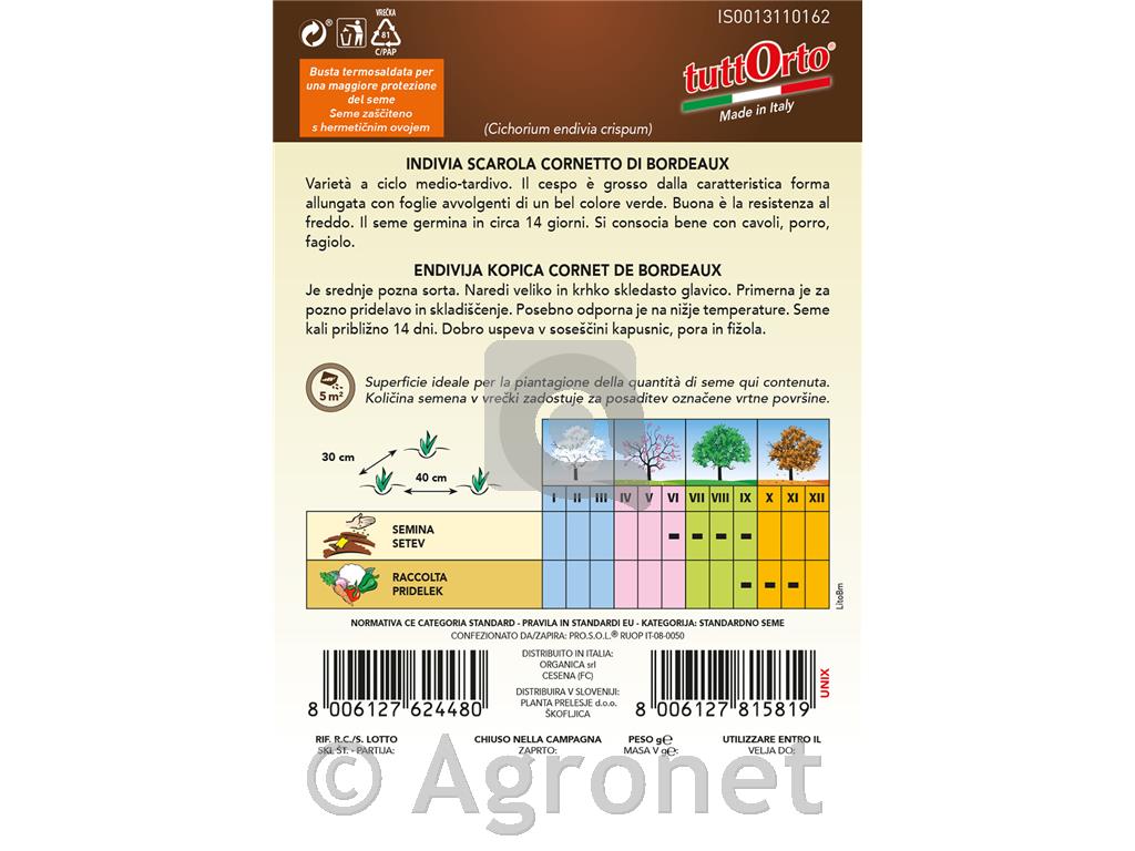 Endivija Kopica Cornet de Boreaux, 2g
