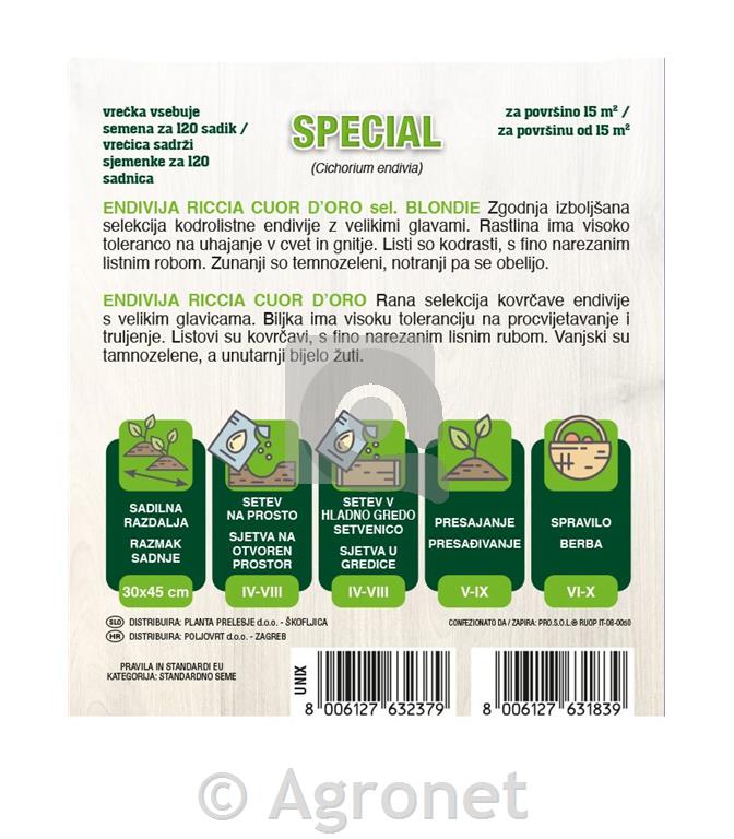 Endivija Cuor d’Oro