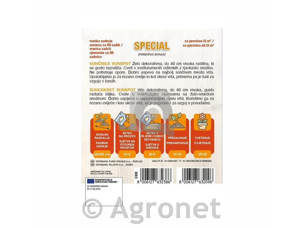 Sončnice Sunspot – 50 semen (pritlikava okrasna sorta)