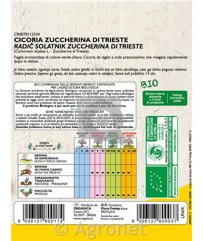 Radič Tržaški solatnik EKO 9 g