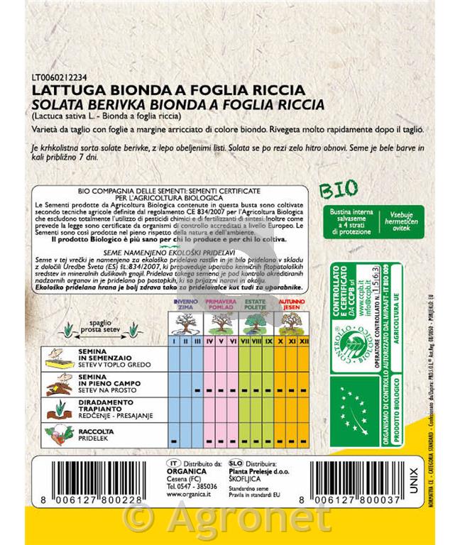 Solata Bionda a foglia riccia EKO 7 g