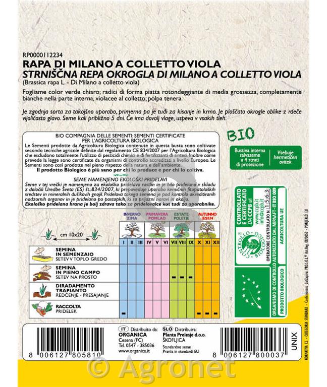 Repa Milano colletto viola EKO 10 g