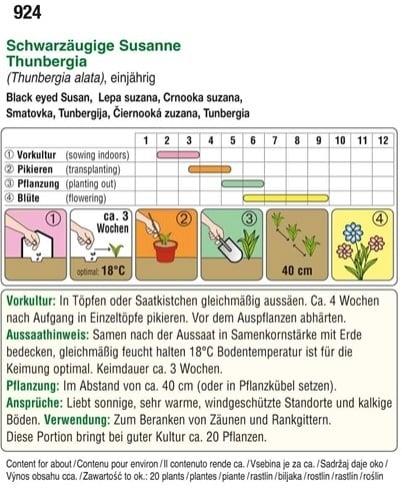 Črnooka Suzana, 7g