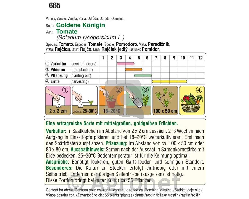 Paradižnik Goldene Königin, 5g