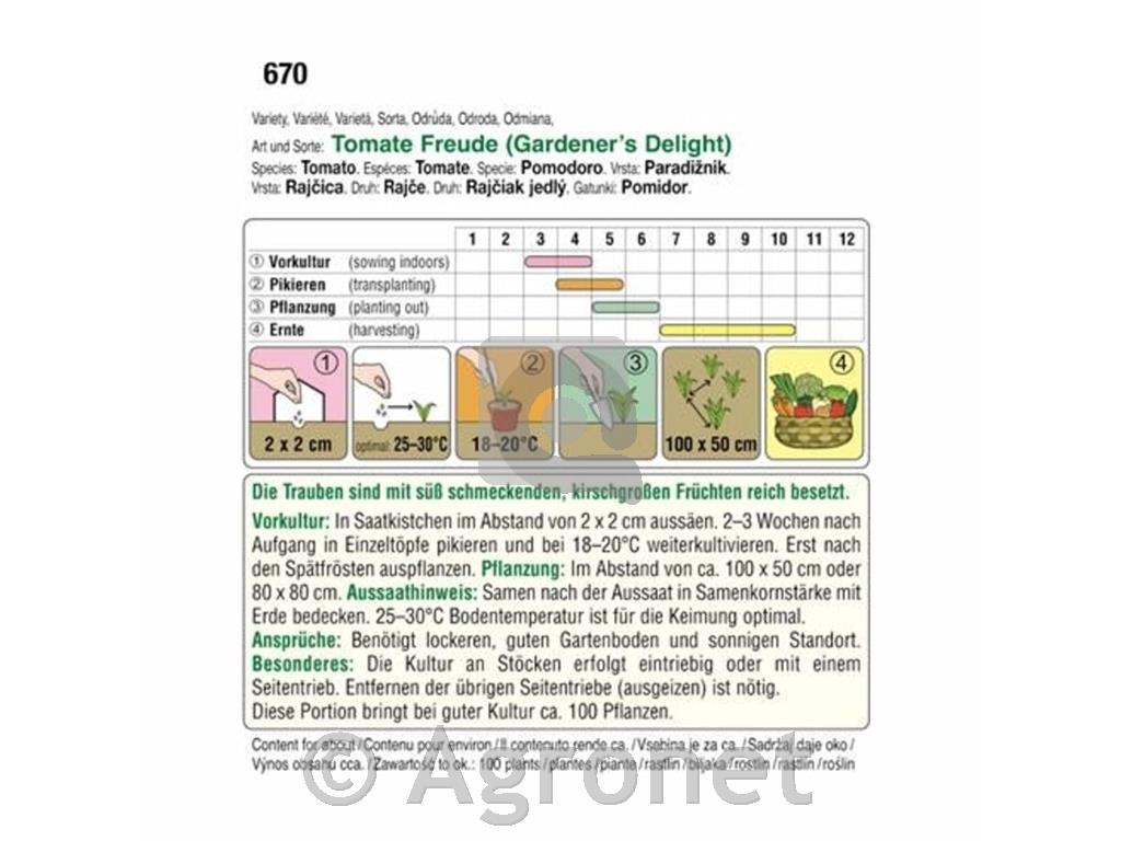 Paradižnik Gardener´s Delight, koktel