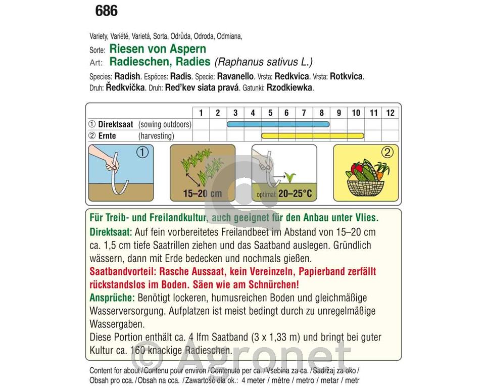 Redkvica Riesen von Aspern, seme na traku