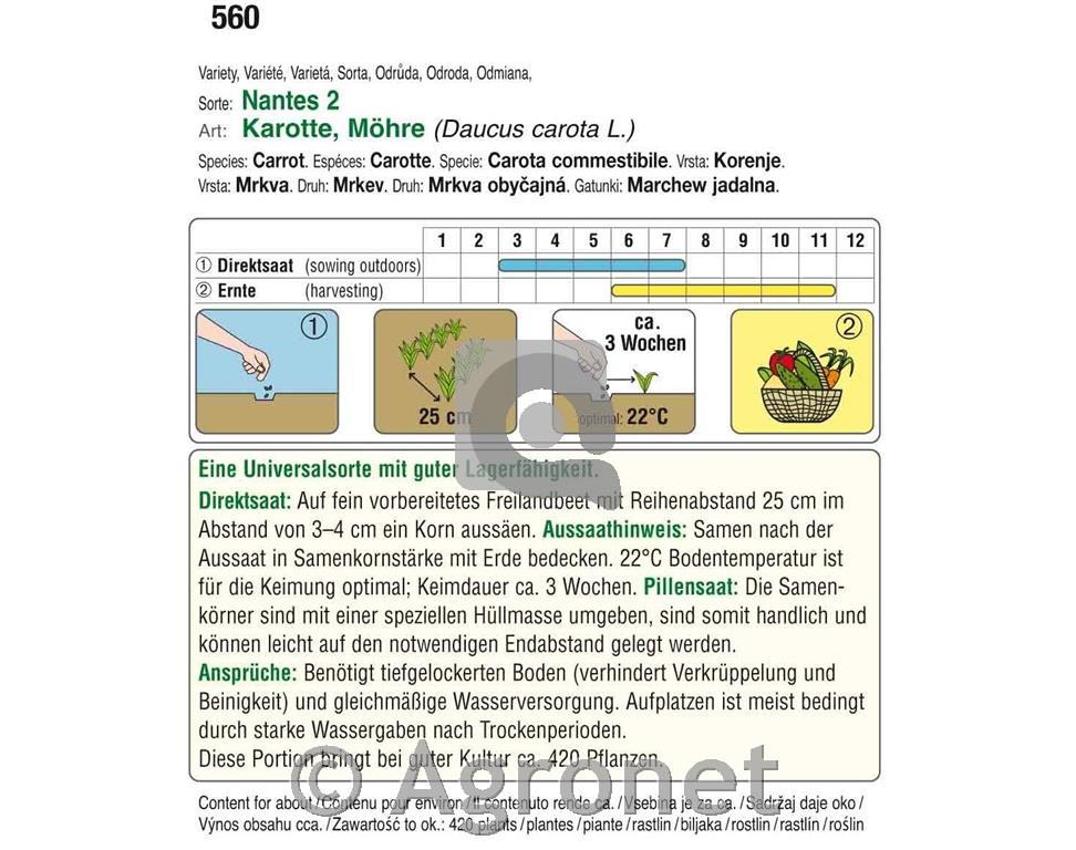 Korenček Nantes 2, pilirano seme