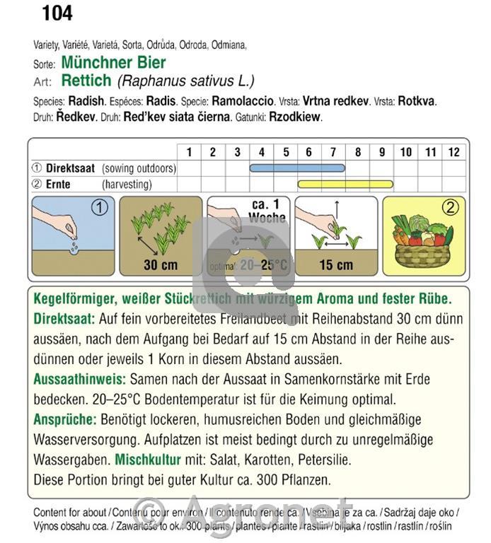 Redkev Muncher Bier