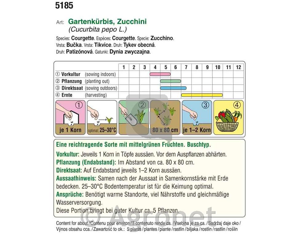 Jedilne buče Zucchini Tempra F1 EKO