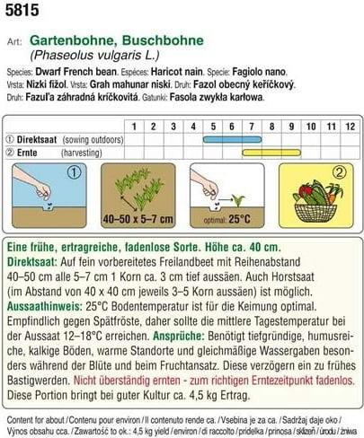Grmičast fižol "Maxi" EKO