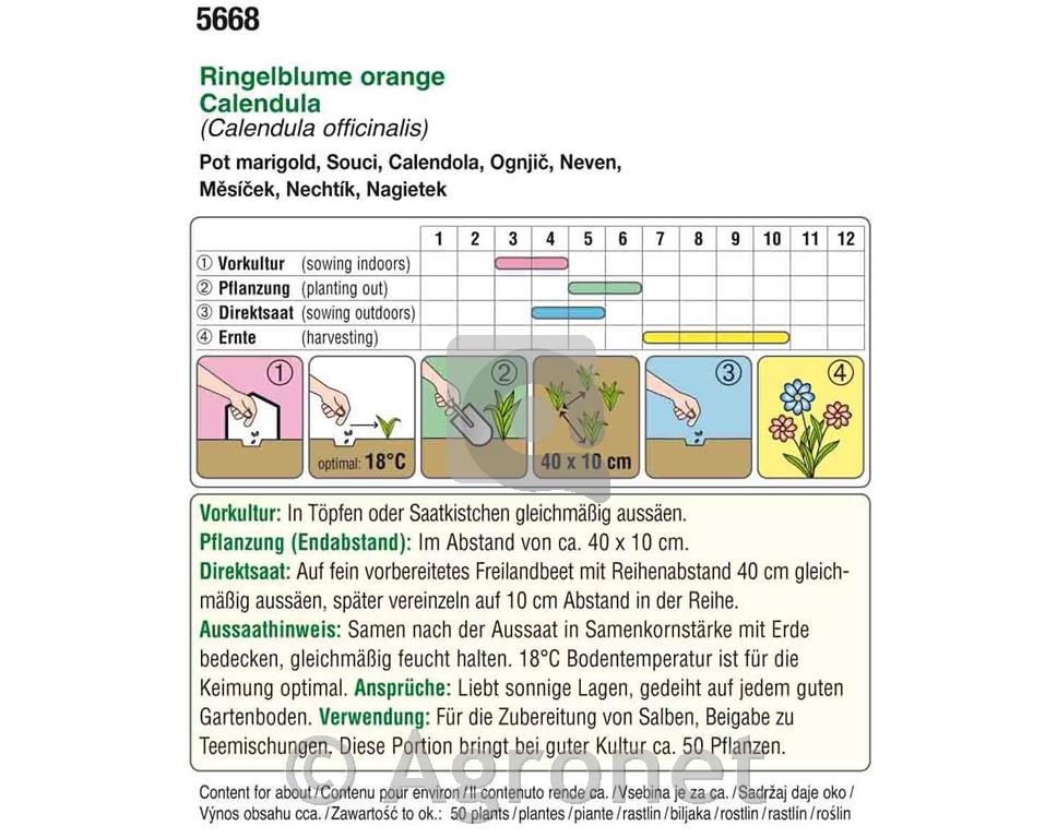 Ognjič EKO