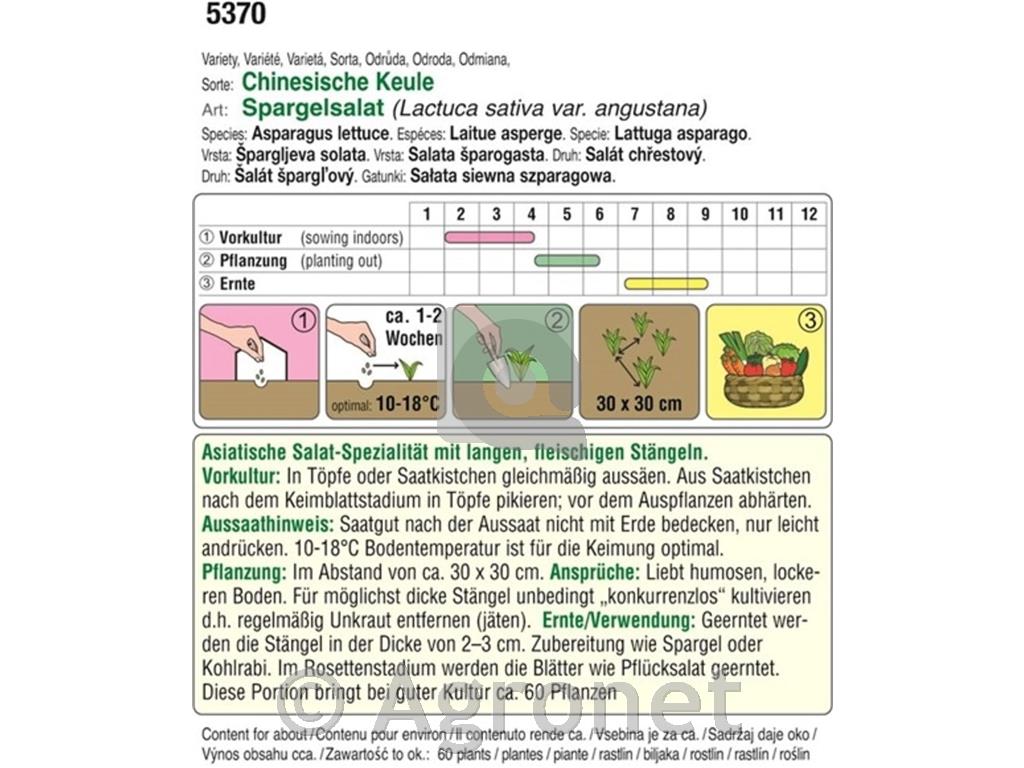 Solata Špargljeva BIO