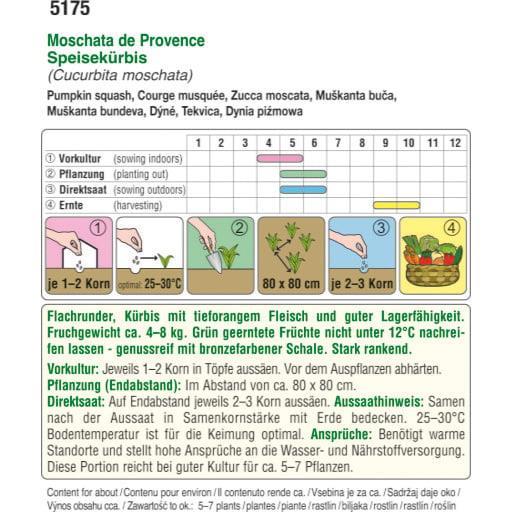 Muškatna buča BIO
