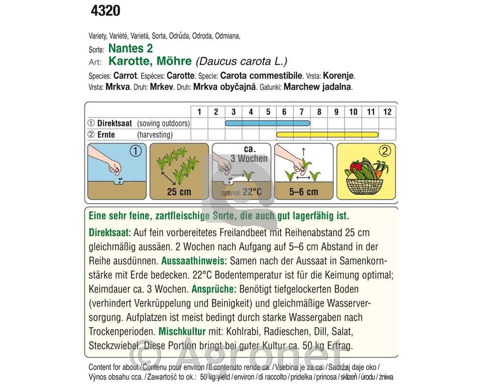 Korenček Nantes 2, 12g