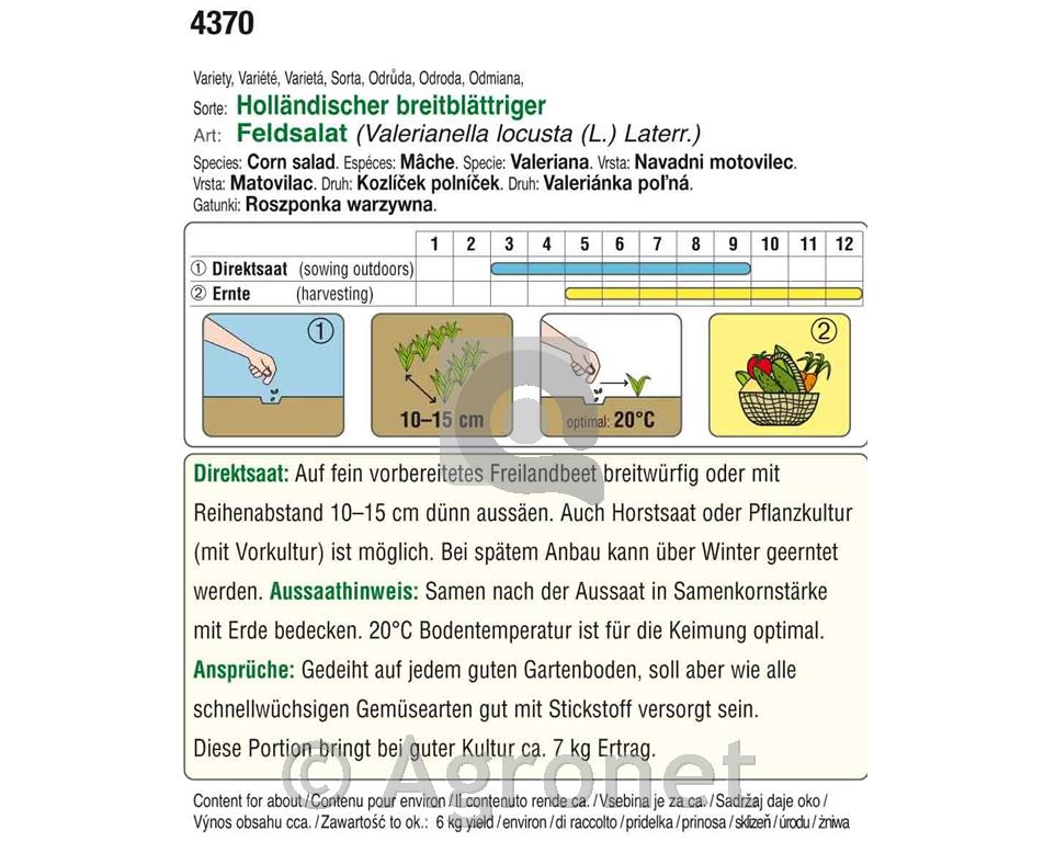 Motovilec Holländischer Breitblattriger, 17g