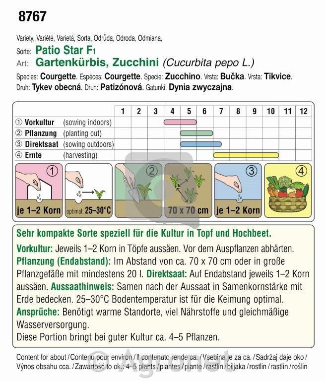 Bučke Patio star F1, 5g