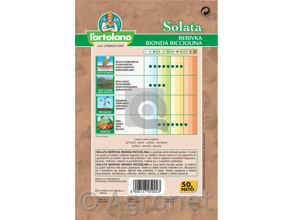 Solata berivka za rezanje, 50 g