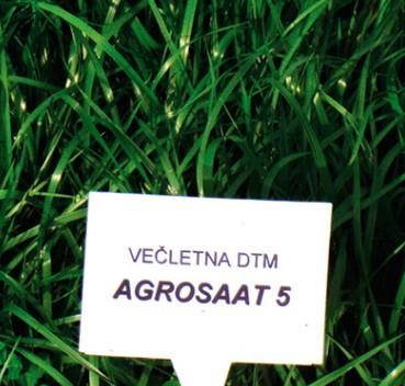 Travna mešanica Agrosaat 5 (za lažja tla) 10 kg