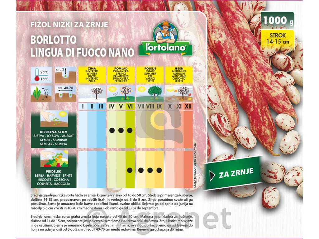 Fižol nizki za zrnje Borlotto 1 kg