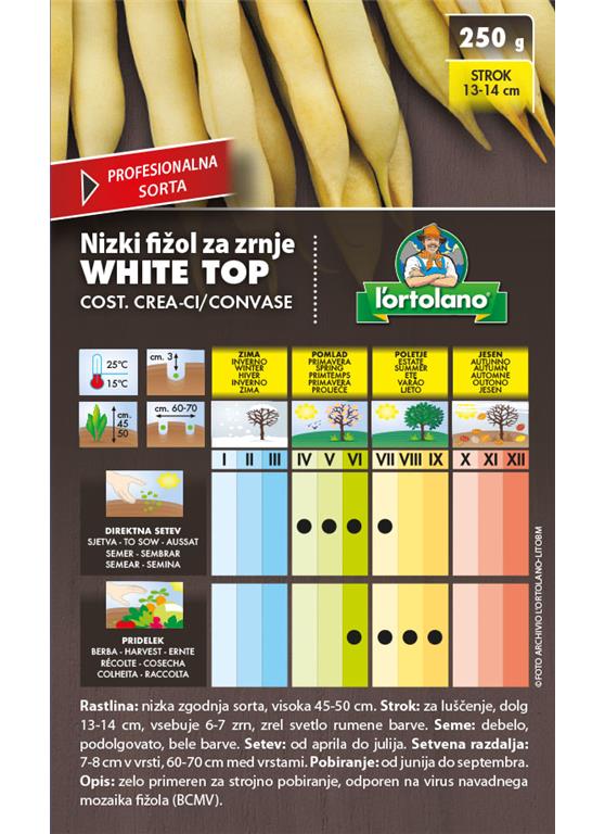Fižol nizki za zrnje White Top 250g