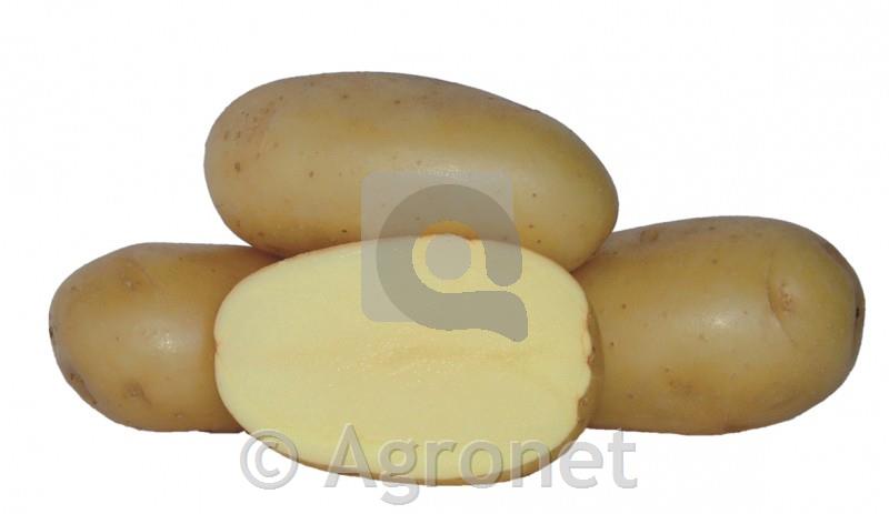 Krompir Agata zgodnji 3 kg
