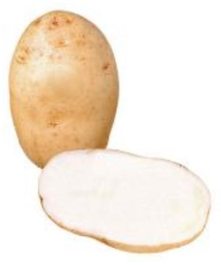 Krompir Maris Bard E 35/55 5 kg