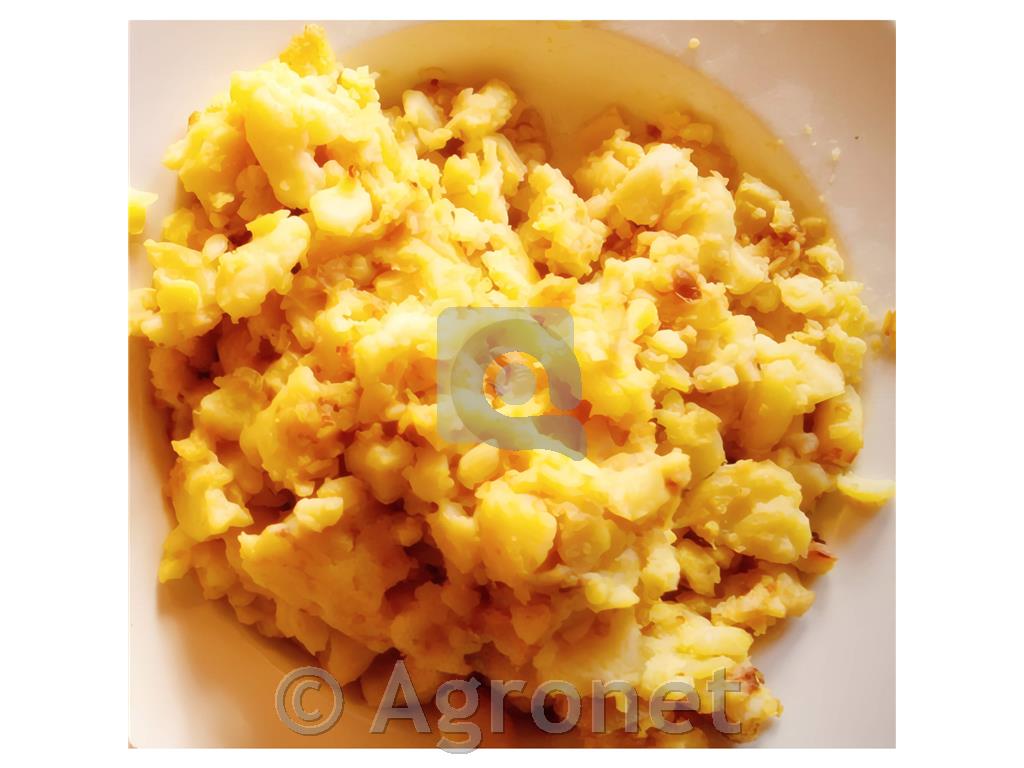 Krompir Concordia A 35/55 25 kg