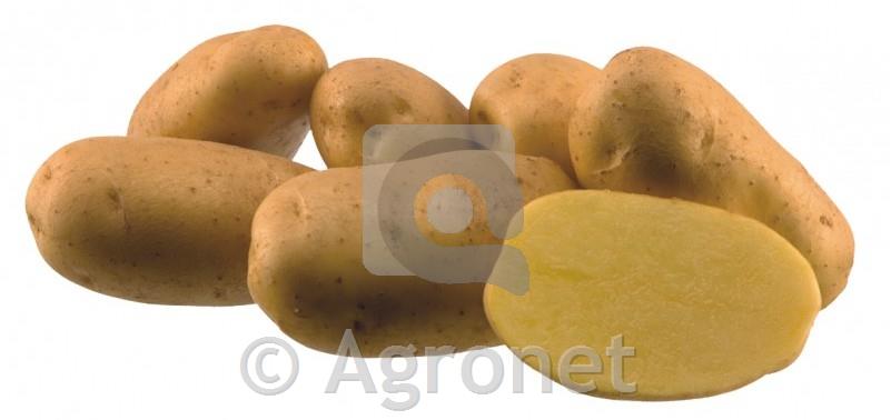 Krompir Agria A 3 kg