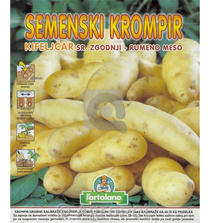 Krompir Kifeljčar beli, 100 gomoljev