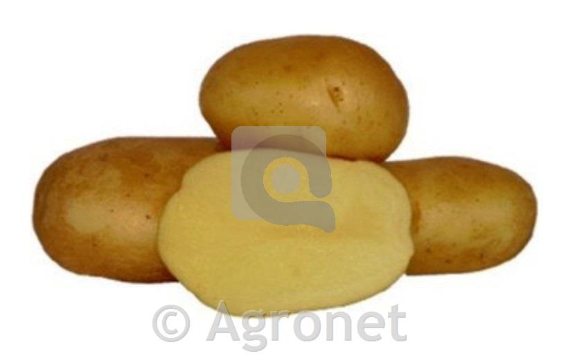 Krompir Adora E 35/45 25 kg