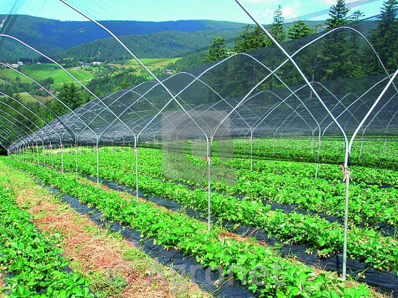 Mreža proti toči dvojno tkana, 2,5 m