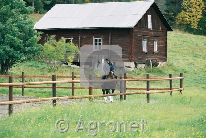Leseni steber prečni Octo Wood ø10mm, 350 cm