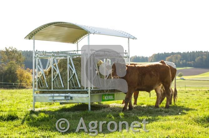 Pašne jasli s samozaporno krmno pregrado