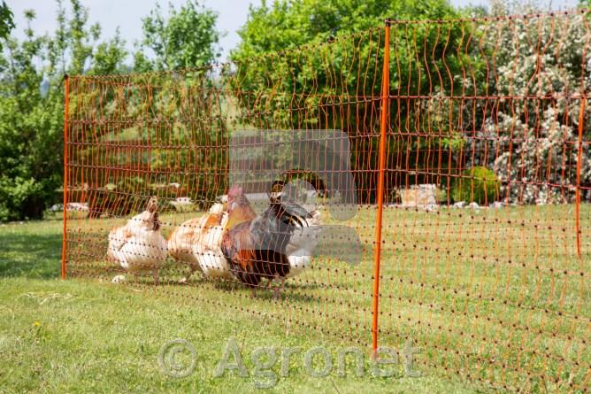 Mreža PoultryNet (enojna konica) 106cm, 50m