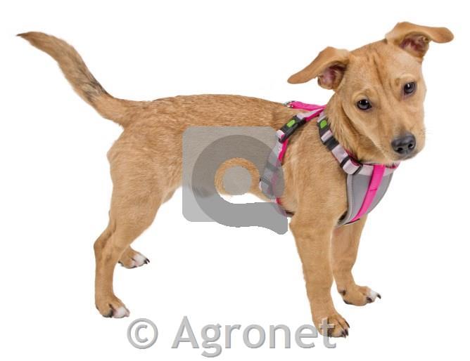 Oprsnica za male pse XS, neon pink