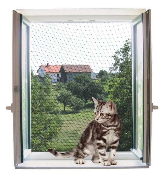 Mreža za zaščito mačk 6 x 3 m, prosojna