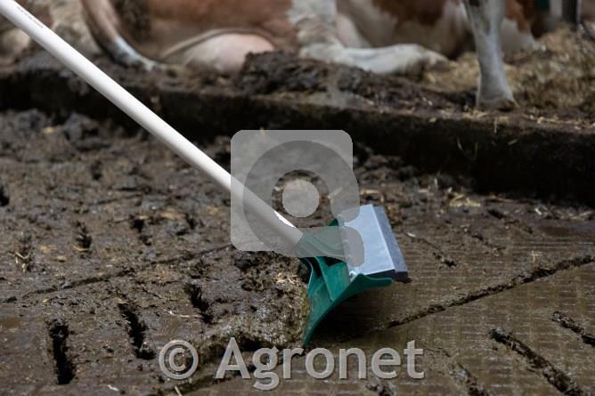 Strgalo za blato in gnoj, 46cm