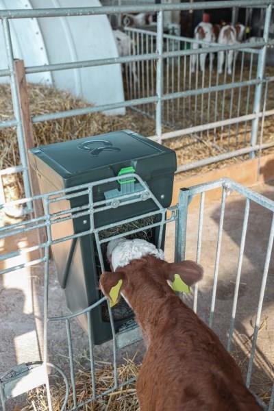 Krmilnik za obešanje Feed Box combo 20l