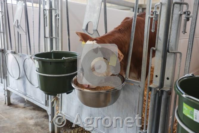 Krmna skleda inox 5,5 L