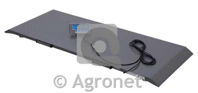 Tehtnica talna digitalna PS 1000