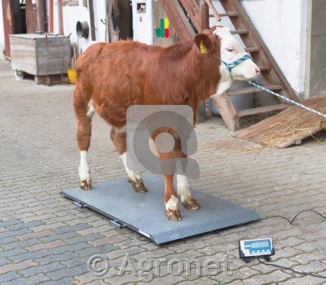 Tehtnica talna digitalna PS 2000