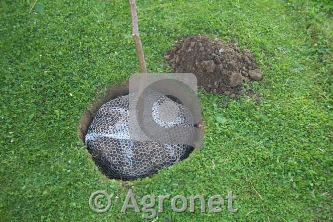Košara za zaščito pred voluharji, 60cm