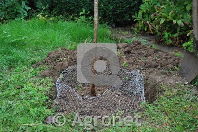 Košara za zaščito pred voluharji, 60cm