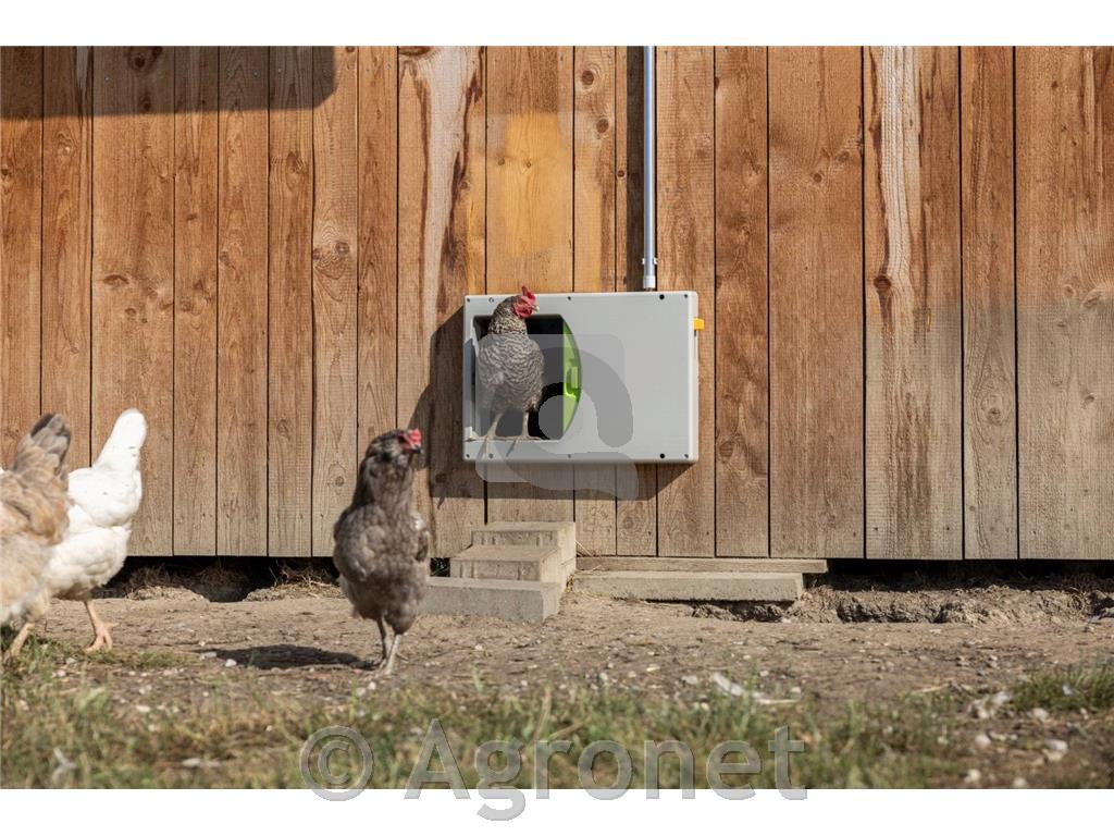 Vrata za kokoši SmartCoop