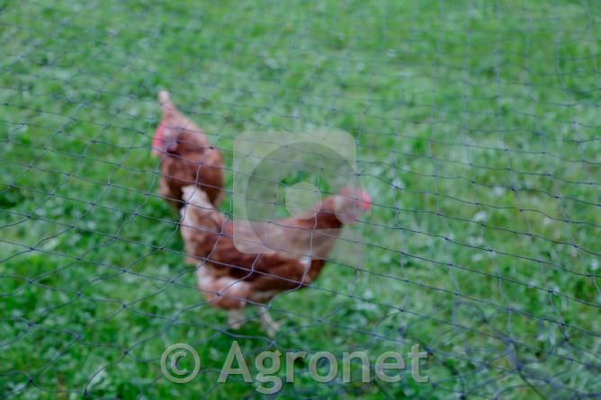 Geflügelschutznetz 20 x 10 m Maschenweite 60 mm